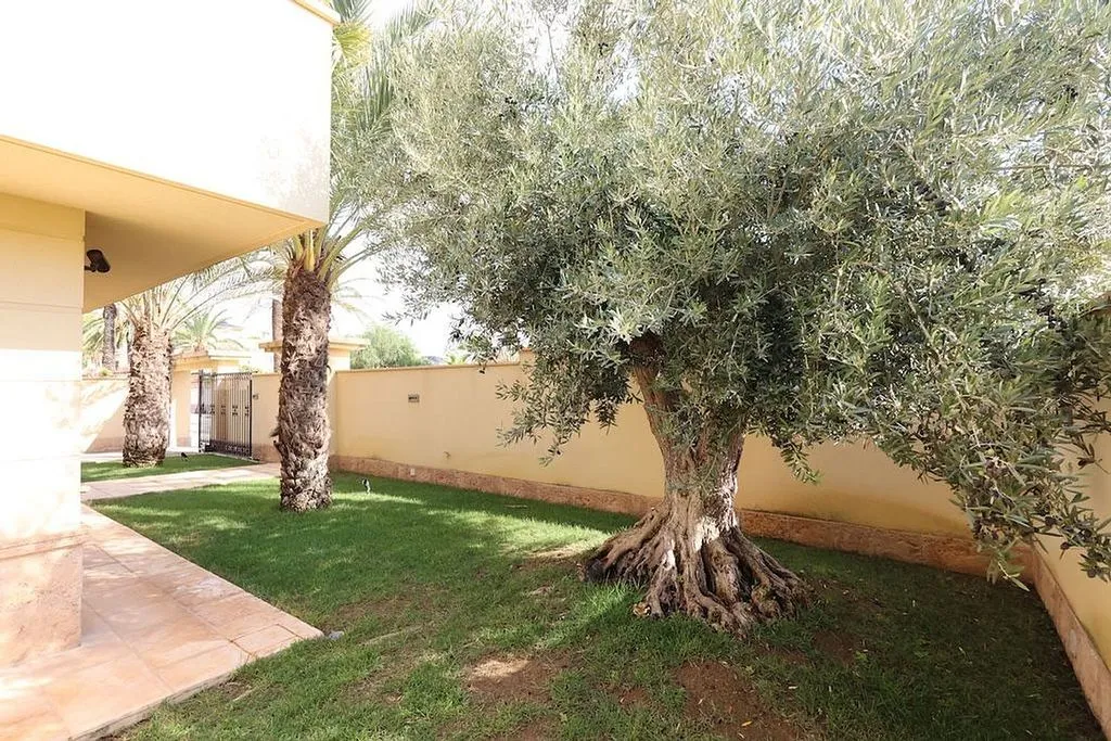 Jardin - Modern Chalet with Private Pool in Cabo Roig