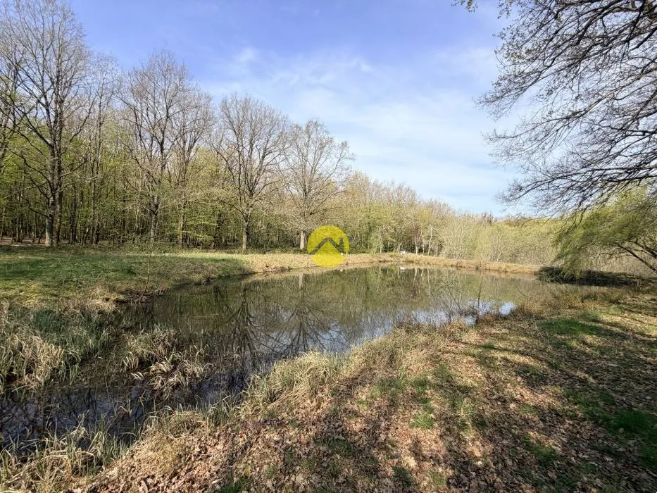 Garten - Leisure Ground with Ponds near Châteauneuf-sur-Cher
