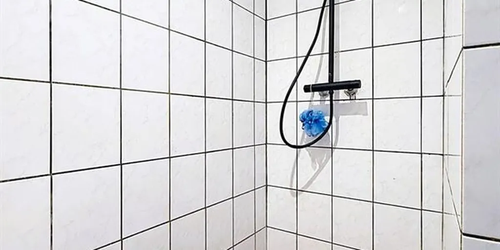 Bathrooms - Two-Faced House with Garden in Moeskroen
