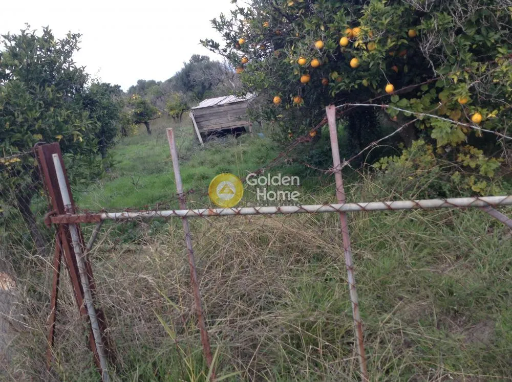 Aed - Plot with Sea View in Agio-Temeni