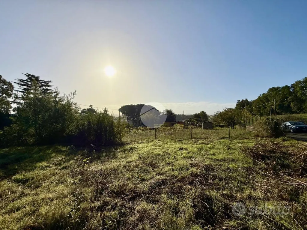 Garden - Rustico with Demolition Potential in Nepi