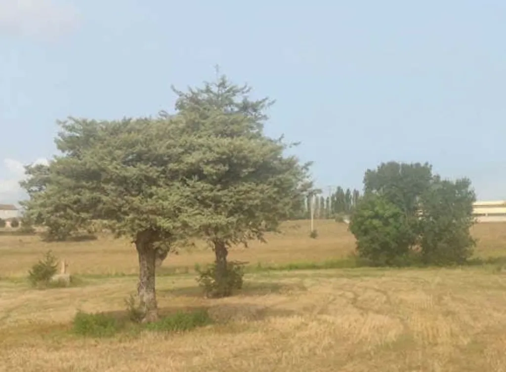 Bien à Cassà De La Selva