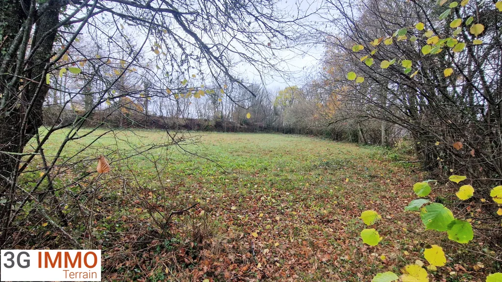 Jardin - Terrain Constructible au Calme à Chapdes-Beaufort