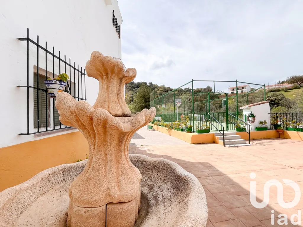 Garden - Rustic Finca with Pool in Casabermeja