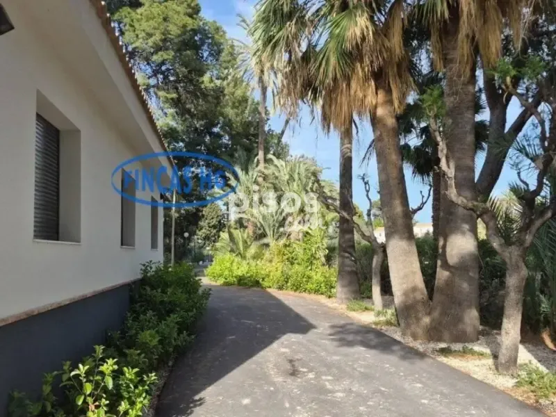Extérieur - Estate with Pool and Garden in Mutxamel