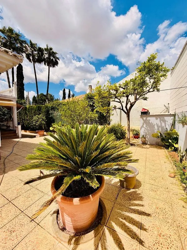 Terrasse - Single-Storey Chalet with Terrace in Montequinto
