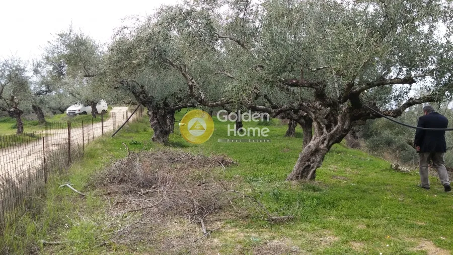 Aed - Plot with Sea View in Avia - Akrogiali