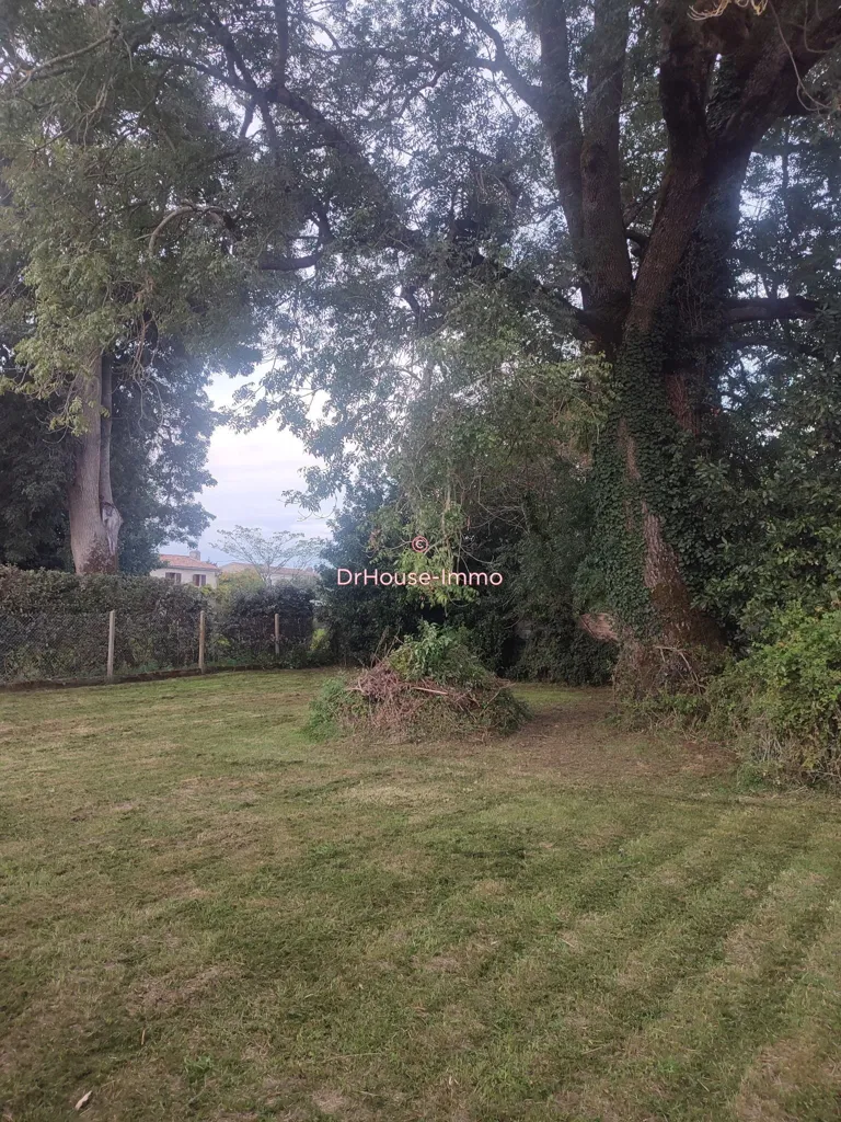Jardin - Maison en Pierre à Rénover à Cozes