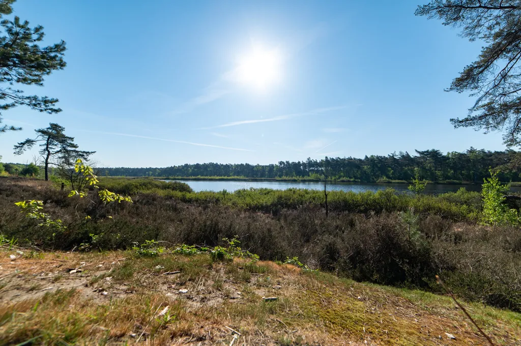 Aed - Villa with Woodland View in Lichtaart