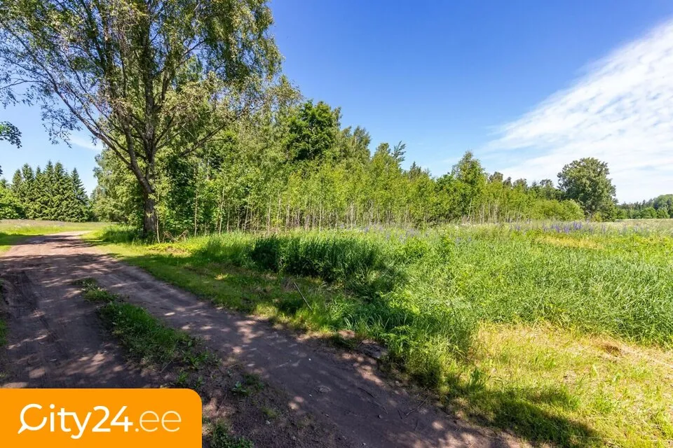 Agricultural Land with Forest in Sigulda District