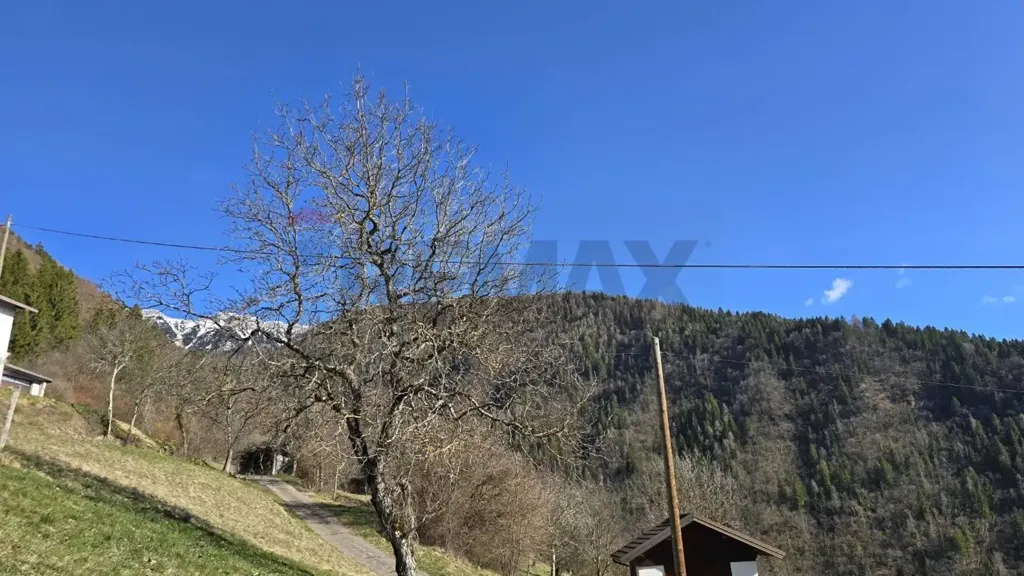 Jardin - Semi-detached House with Garden in Lamon