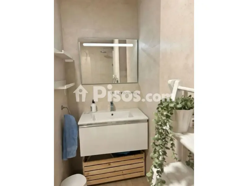 Vannitoad - Furnished Flat with Lift in El Pla del Real