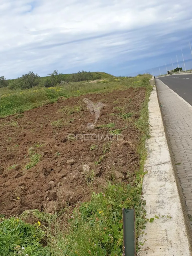 Garden - Flat Land with Sea View in Porto Santo