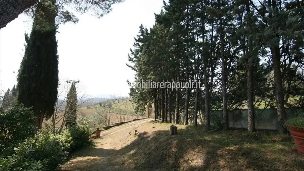 Garden - Rustic House with Vineyard in Sinalunga
