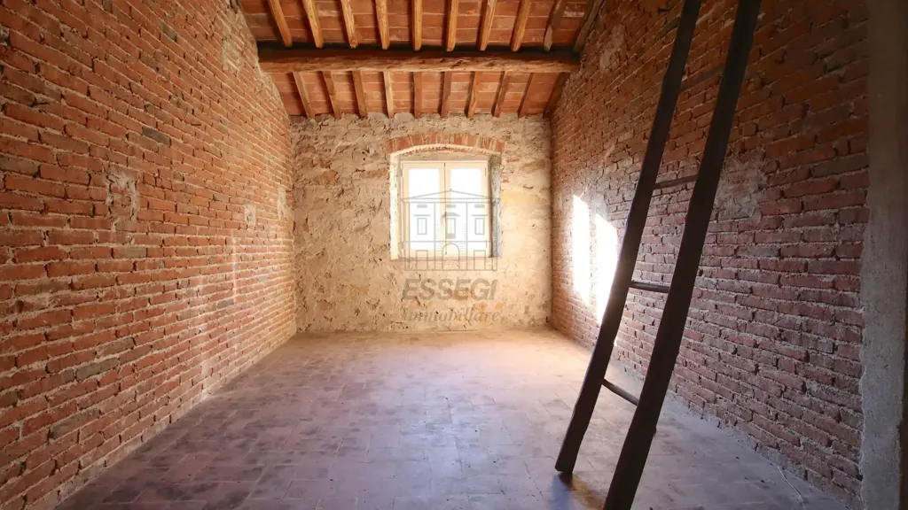 Toad - Early 20th Century Villa with Panoramic Views near Lucca