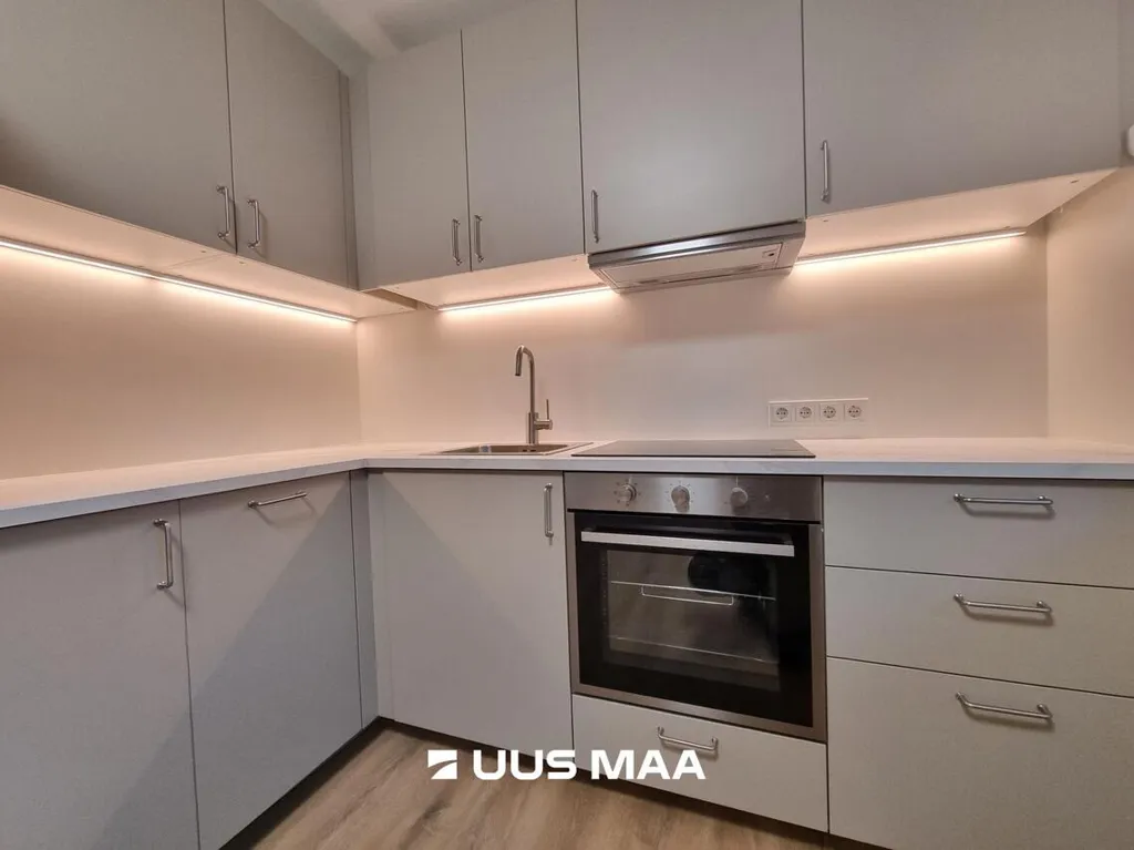 Cuisine - Flat with Recent Renovation in Väike-Maarja