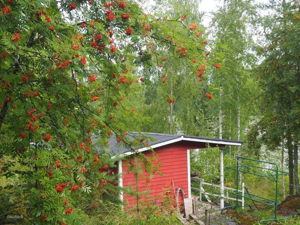 Garden - Detached House with Lake View in Sysmä