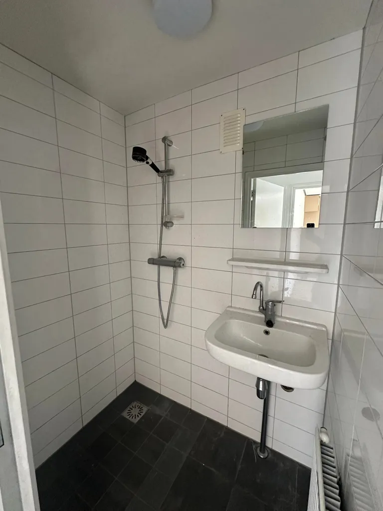 Salles de bain - 3-Bedroom Apartment with Garden in Veenendaal