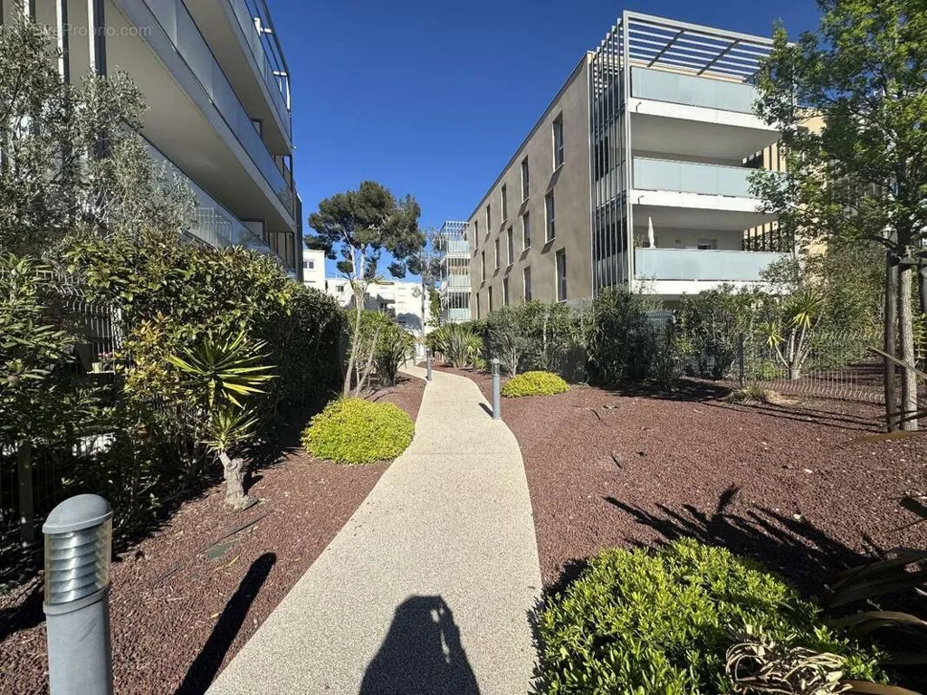 Jardin - Appartement T4 avec Terrasse et Vue Étang à Côté Bas Saint Clair