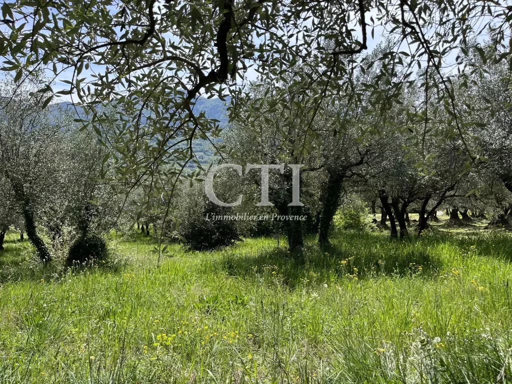 Jardin - Maison Campagnarde en Pierre avec Vue Panoramique en Provence