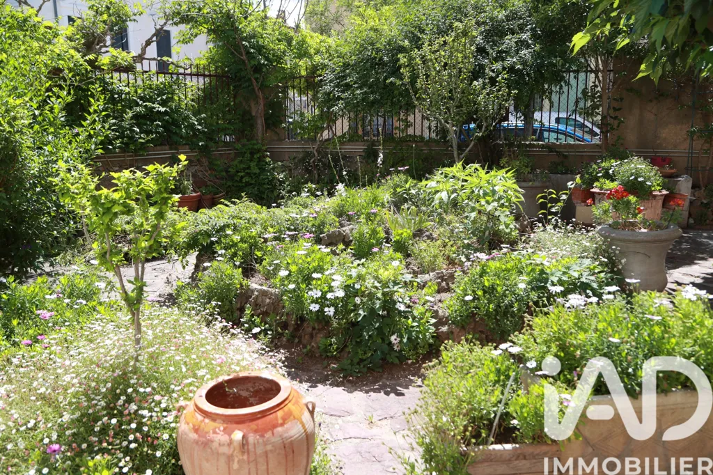 Jardin - Maison de Ville avec Cour Arborée à Saint-André-de-Sangonis