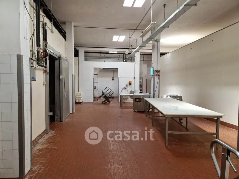 Toad - Mixed-Use Rustico with Industrial Space in Falconara Marittima