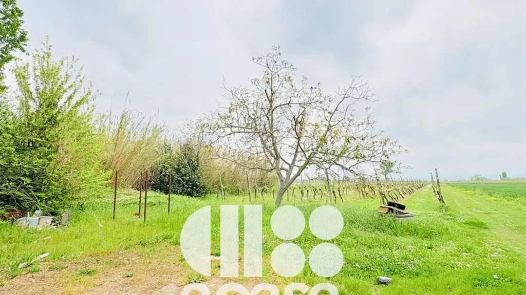 Jardin - Rustic House to Renovate in Cesenatico