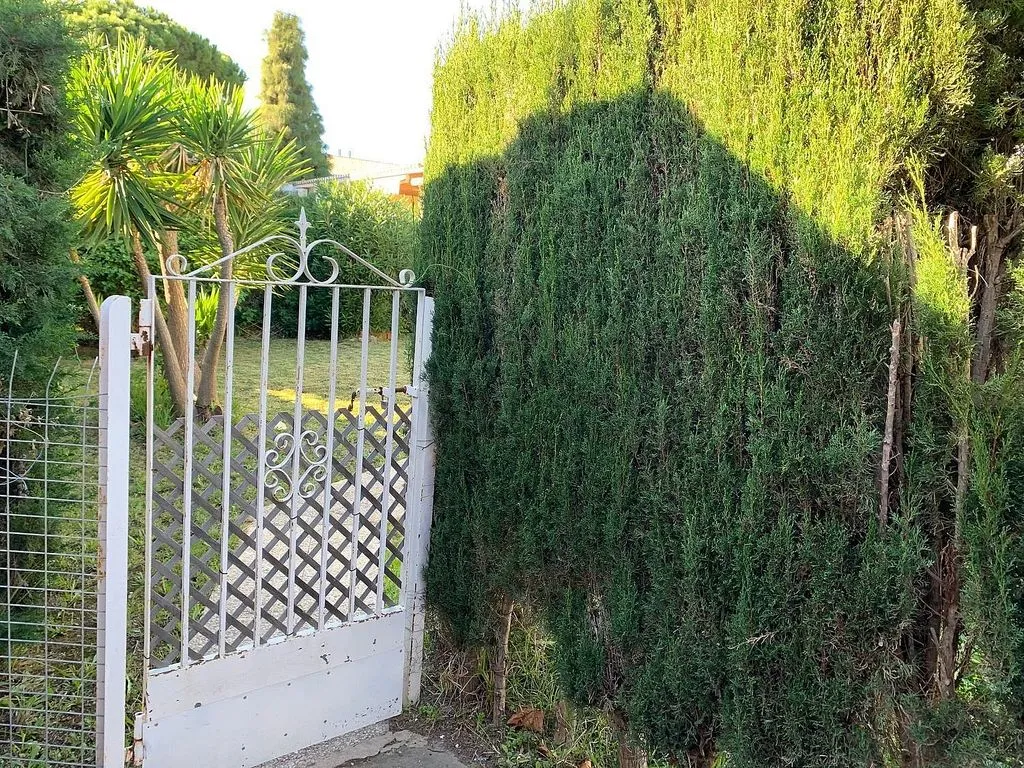 Jardin - Chalet with Garden in Campoamor
