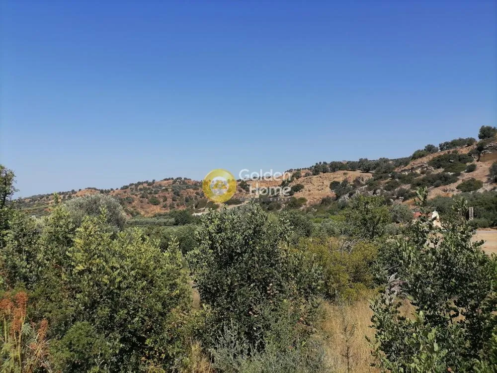 Aed - Agricultural Land with Unrestricted View in Phaistos
