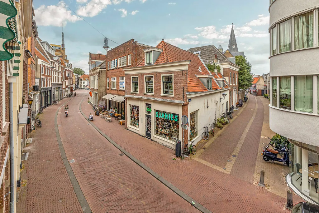 Välivaade - Student Flat with Rooftop Terrace in Haarlem