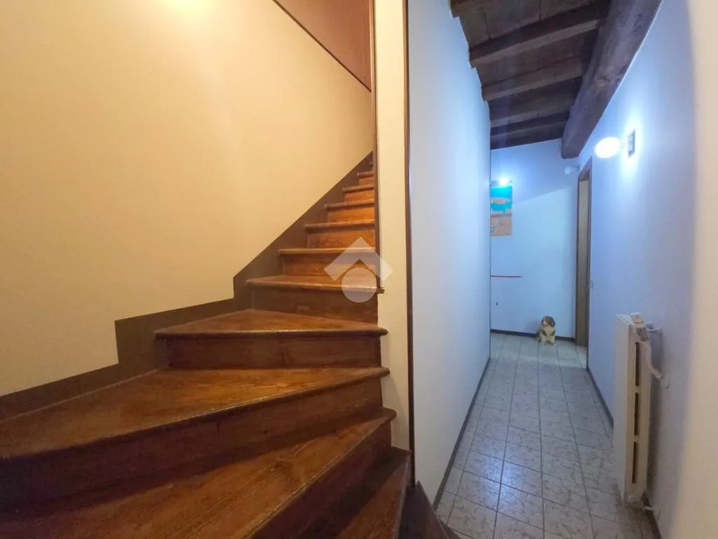 Toad - Spacious Independent House in Goito