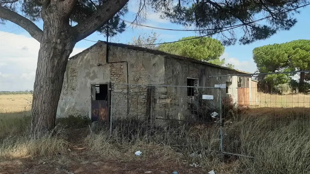 Extérieur - Tuscan Farmhouse with Orchard in Rosignano Marittimo