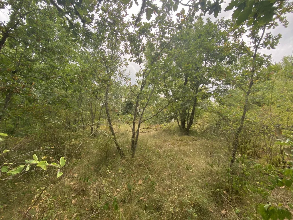 Giardino - Rural Land with Pigeonnier in Dondas