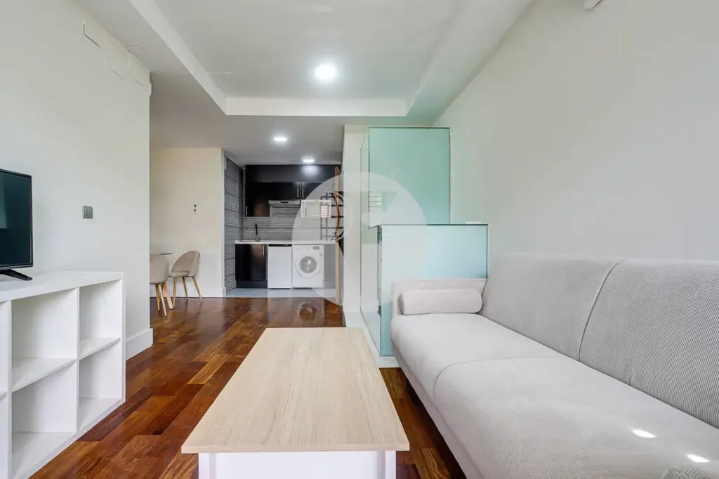 Elutuba - Renovated Duplex with Two Entrances in Guindalera