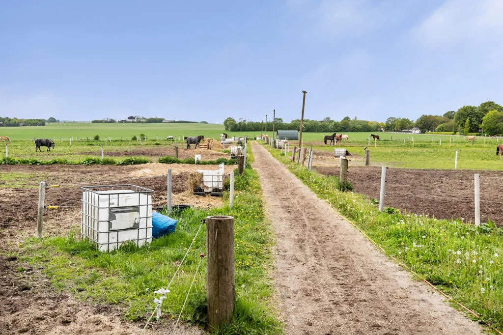 Garten - Farmhouse with 60,919m² Land in Ravnkilde