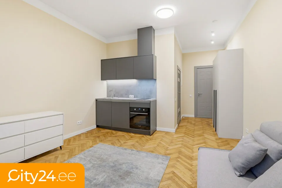 Elutuba - Furnished Studio in Historic Jūgendstil Building, Riga Centre