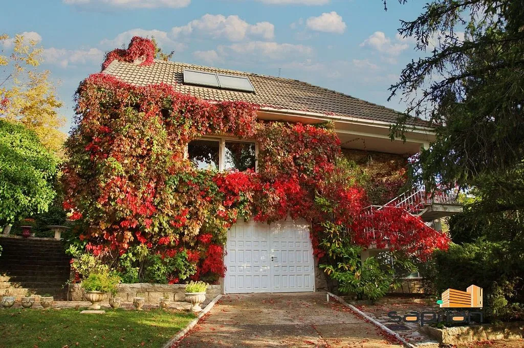 Välivaade - Chalet with Pool and Terrace in Robledo de Chavela