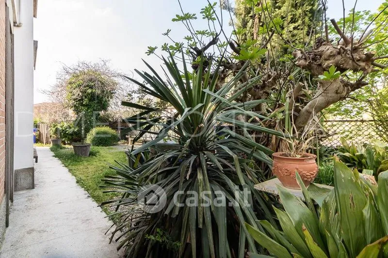 Jardin - Villa with Garden in Cavezzo Centre