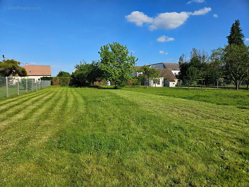 Giardino - Buildable Plot with Garden in Fitz James
