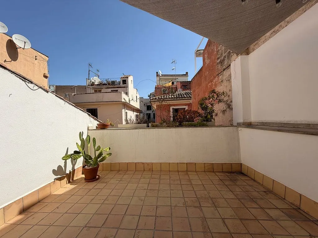 Terrasse - Duplex with Terrace in La Llotja - Sant Jaume