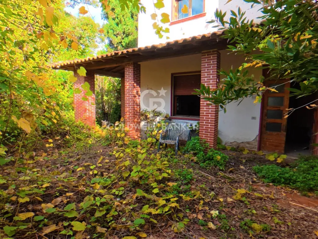 Extérieur - Rustic Estate with Lake in Vinci, Tuscany