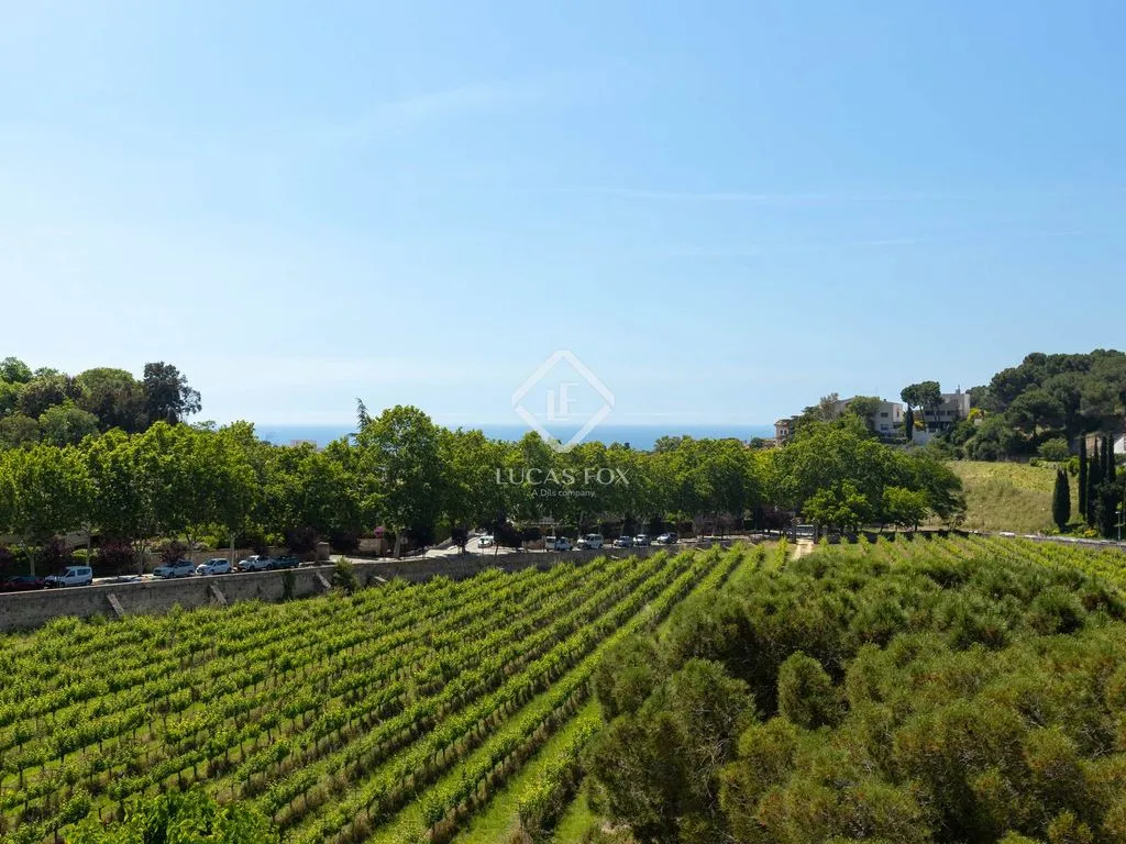 Jardin - Historic Country House with Vineyards in Alella