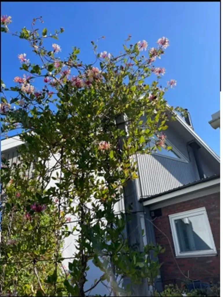 Extérieur - Renovated House with Garden in Vargön