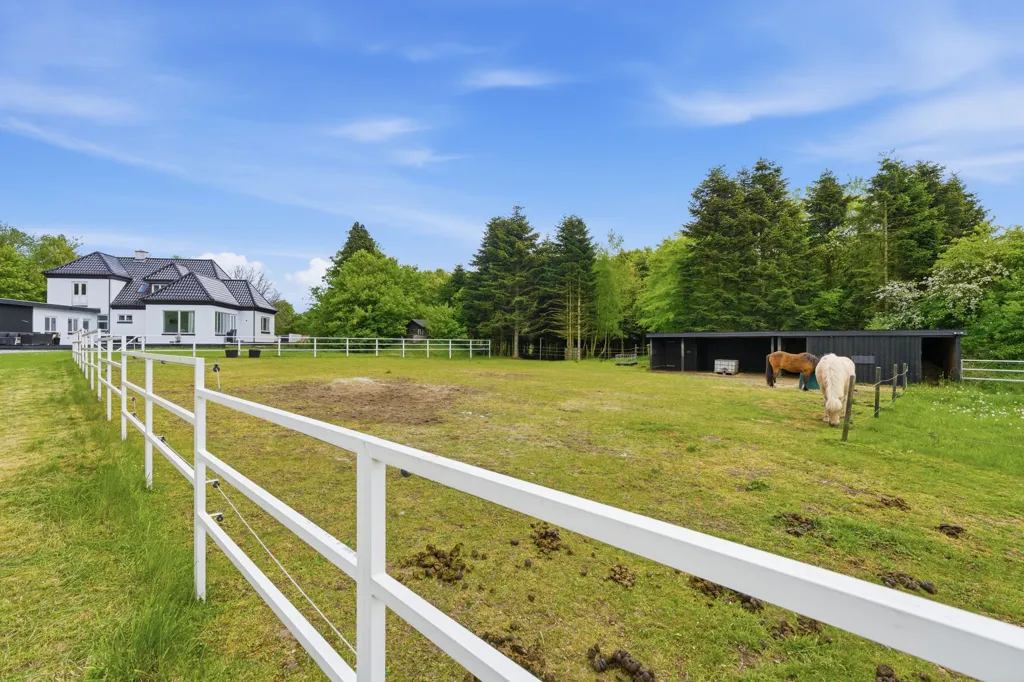 Jardin - Villa with Forest View in Hammelev