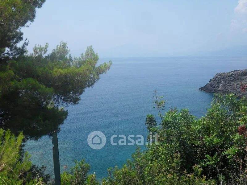 Garden - Villa with Seafront Access in Maratea