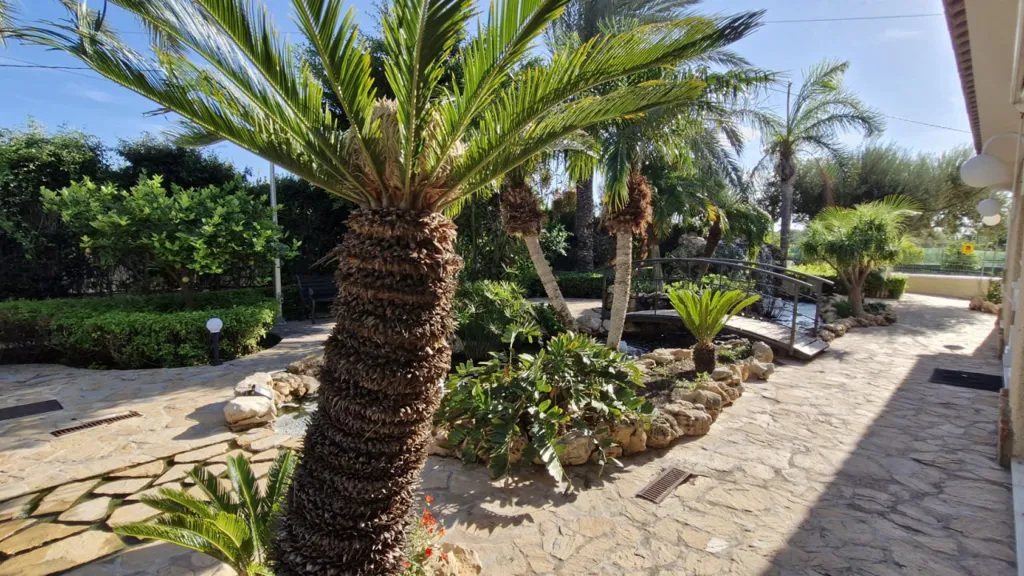 Jardin - Maison 7 pièces à Elche (Elx)