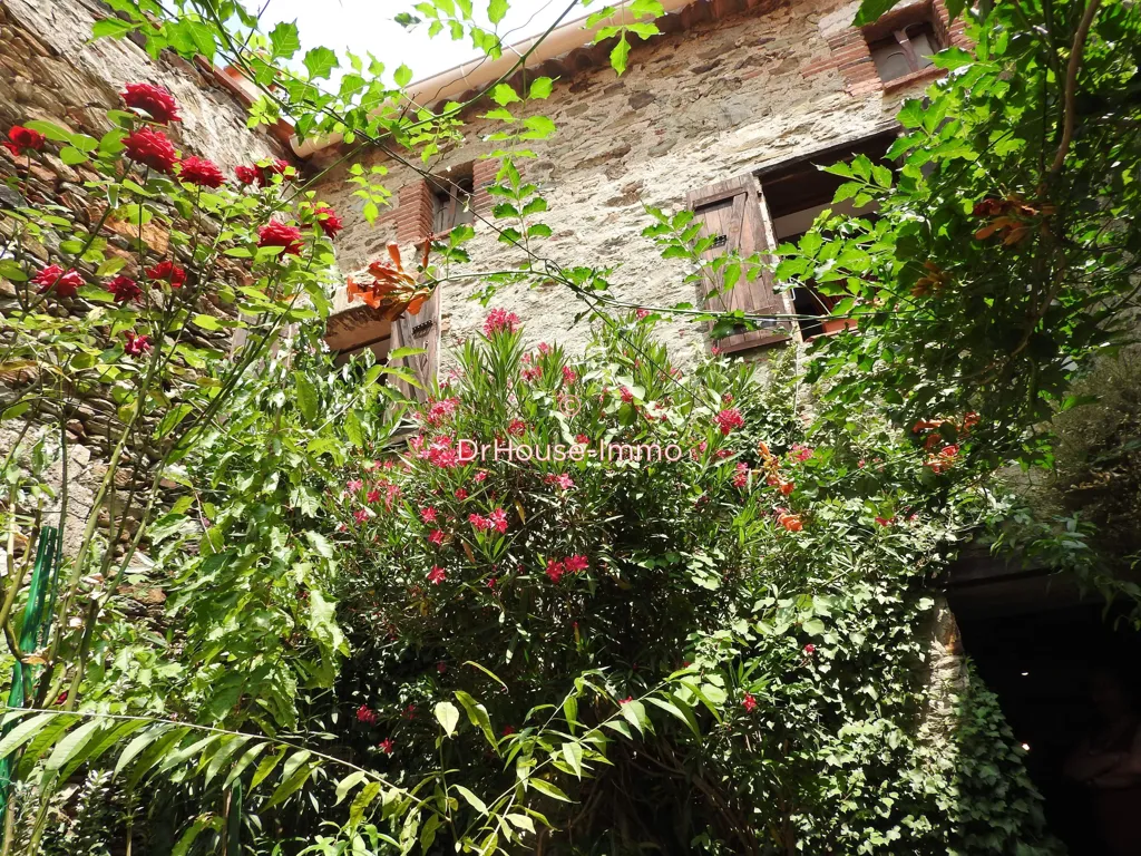 Jardin - Maison en Pierre avec Solarium dans un Village