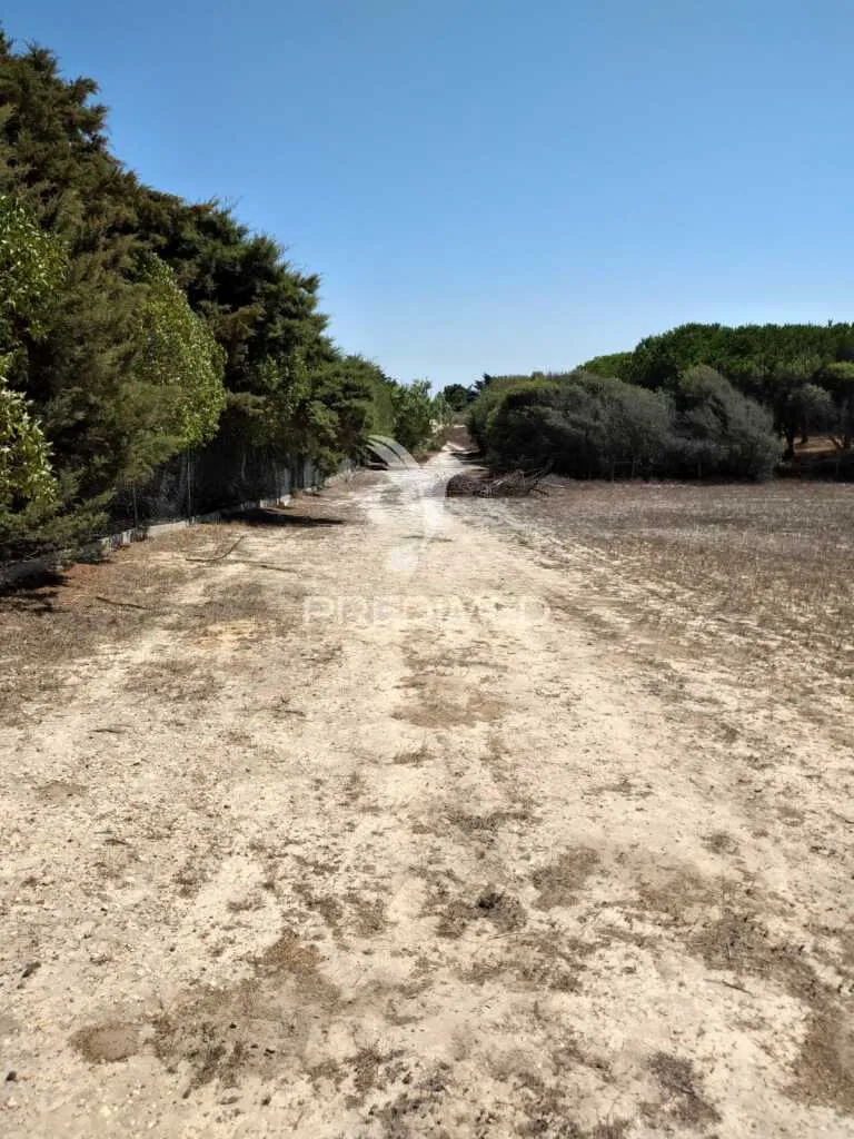 Jardin - Rustic Plot with Sea Access in Porto Côvo