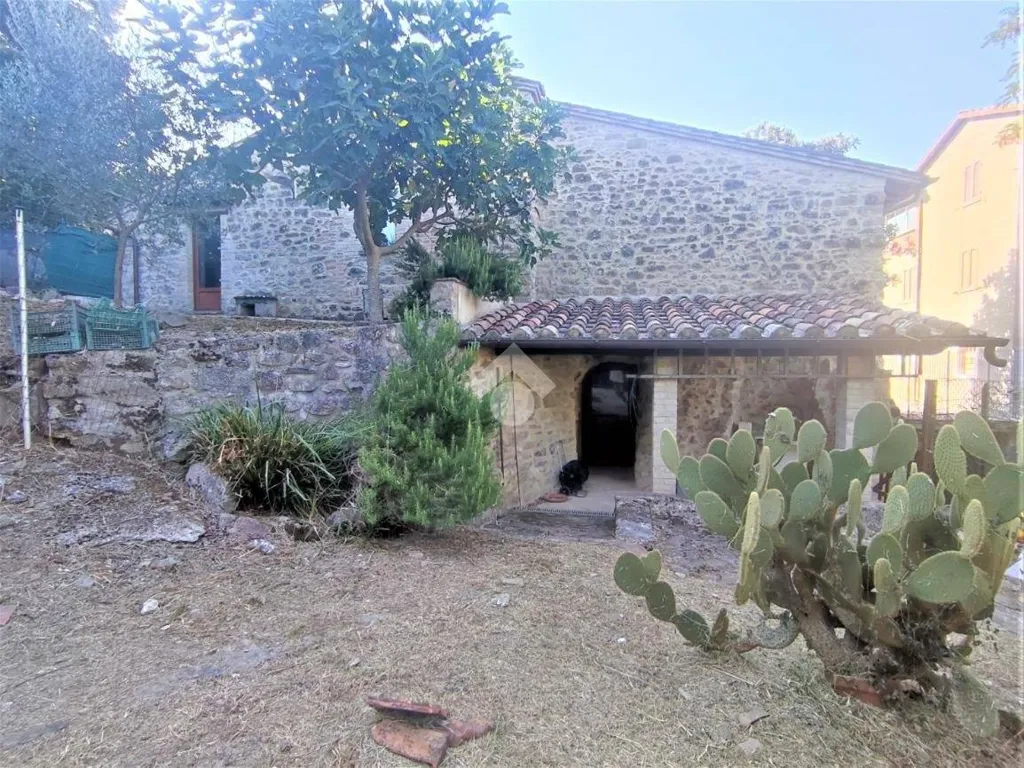 Extérieur - Rustic Stone Cottage with Garden in Pianello