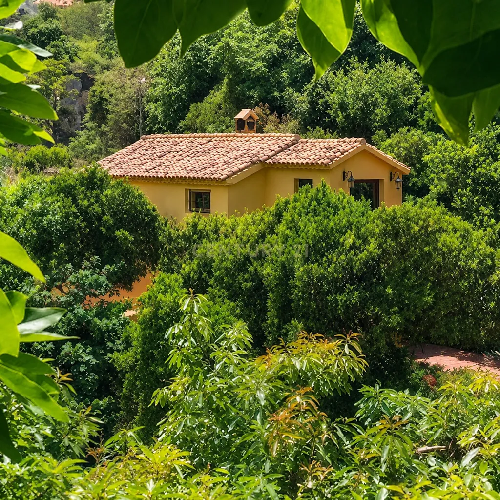 Extérieur - Chalet with Pool and Terrace in Ojén